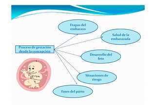 Etapas del
                            embarazo
                                                           Salud de la
                                                          embarazada

Proceso de gestación
desde la concepción
                                           Desarrollo del
                                               feto




                                         Situaciones de
                                             riesgo


                       Fases del parto
 