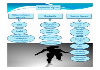 Preparación al parto


Relajación Neuro
                           Respiración        Gimnasia Prenatal
    muscular


                           Diafragmática          Ejercicios de
    Total                   abdominal                  pie

                                                   Ejercicios
                             Torácica
   Parcial                   superior
                                                    desde la
                                                   posición
                                                    sentada
Relajación durante
                          Torácica inferior
  cada etapa del                                  Ejercicios de
 proceso de parto                                   rodillas
                           De oxigenación
                                                  Ejercicios de
                                                     cúbito
                                                    occipital
                                                  Ejercicios de
                                                  cúbito dorsal

                                                  Ejercicios para
                                                   los pezones
 