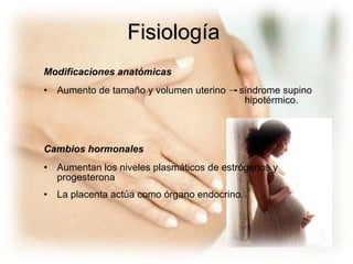 Modificaciones anatómicas Aumento de tamaño y volumen uterino  síndrome supino    hipotérmico. Cambios hormonales Aumentan los niveles plasmáticos de estrógenos y progesterona La placenta actúa como órgano endocrino. Fisiología 