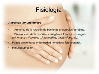 Fisiología Aspectos inmunológicos Aumento de la relación de bacterias anaerobias/aerobias. Disminución de la respuesta antigénica frente a  s.   sanguis, actinomyces viscosus, p.intermedius, bacteroides,  etc.  Puede presentarse enfermedad hemolítica fetoneonatal.  Inmunosupresión 