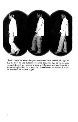Rupa camina un tramo de aproximadamente tres metros, al llegar al
fin del trayecto una sucesi6n de nama nota que rupa se va a parar,
nama detiene el movimiento y nama se enfoca dos veces en la postura
de rupa de pie mientras la atenci6n plena observa, nama nota una vez
la intenci6n de voItear y gira.
74
 