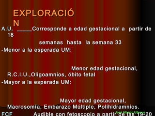 EXPLORACIÓ
    N
A.U. _____ Corresponde a edad gestacional a       partir de
  18
              semanas hasta la semana 33
-Menor a la esperada UM:


                         Menor edad gestacional,
  R.C.I.U.,Oligoamnios, óbito fetal
-Mayor a la esperada UM:


                  Mayor edad gestacional,
  Macrosomía, Embarazo Múltiple, Polihidramnios.
FCF_____ Audible con fetoscopio a partir de las 19-20
                                        José Alberto Ulloque
 