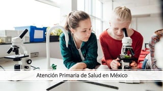 Atención Primaria de Salud en México
 