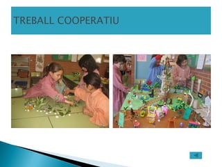 TREBALL COOPERATIU 