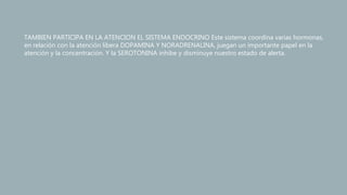 TAMBIEN PARTICIPA EN LA ATENCION EL SISTEMA ENDOCRINO Este sistema coordina varias hormonas,
en relación con la atención libera DOPAMINA Y NORADRENALINA, juegan un importante papel en la
atención y la concentración. Y la SEROTONINA inhibe y disminuye nuestro estado de alerta.
 