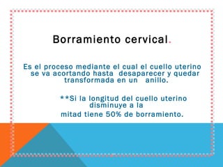 Borramiento cervical . Es el proceso mediante el cual el cuello uterino se va acortando hasta  desaparecer y quedar  transformada en un  anillo. **Si la longitud del cuello uterino disminuye a la mitad tiene 50% de borramiento.  