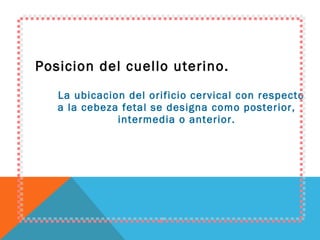 Posicion del cuello uterino. La ubicacion del orificio cervical con respecto a la cebeza fetal se designa como posterior, intermedia o anterior. 