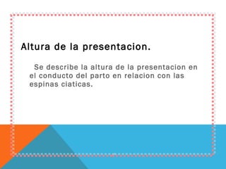 Altura de la presentacion. Se describe la altura de la presentacion en el conducto del parto en relacion con las espinas ciaticas. 