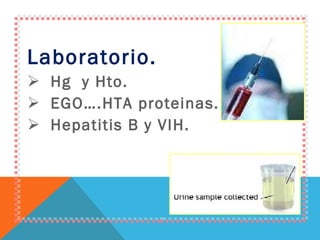 Laboratorio. Hg  y Hto. EGO….HTA proteinas.  Hepatitis B y VIH. 