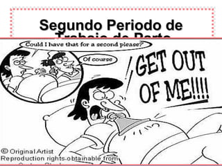 Segundo Periodo de Trabajo de Parto. 