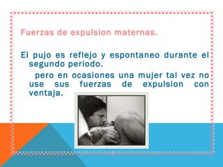 Fuerzas de expulsion maternas. El pujo es reflejo y espontaneo durante el segundo periodo. pero en ocasiones una mujer tal vez no use sus fuerzas de expulsion con ventaja. 