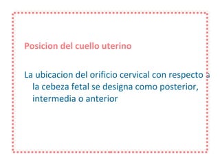 Posicion del cuello uterino La ubicacion del orificio cervical con respecto a la cebeza fetal se designa como posterior, intermedia o anterior 