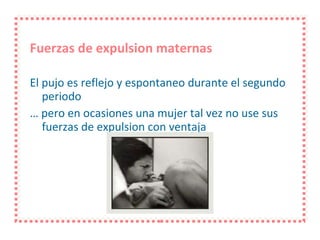 Fuerzas de expulsion maternas El pujo es reflejo y espontaneo durante el segundo periodo …  pero en ocasiones una mujer tal vez no use sus fuerzas de expulsion con ventaja 