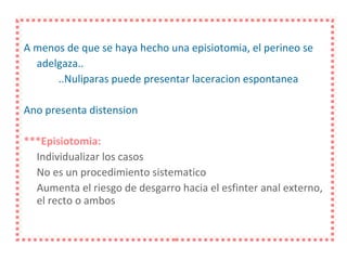 A menos de que se haya hecho una episiotomia, el perineo se adelgaza.. ..Nuliparas puede presentar laceracion espontanea Ano presenta distension ***Episiotomia: Individualizar los casos No es un procedimiento sistematico Aumenta el riesgo de desgarro hacia el esfinter anal externo, el recto o ambos 
