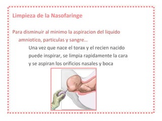 Limpieza de la Nasofaringe Para disminuir al minimo la aspiracion del liquido amniotico, particulas y sangre…  Una vez que nace el torax y el recien nacido  puede inspirar, se limpia rapidamente la cara  y se aspiran los orificios nasales y boca 