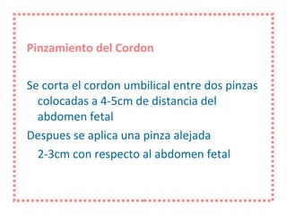 Pinzamiento del Cordon Se corta el cordon umbilical entre dos pinzas colocadas a 4-5cm de distancia del abdomen fetal Despues se aplica una pinza alejada  2-3cm con respecto al abdomen fetal 
