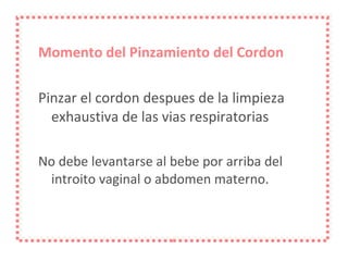 Momento del Pinzamiento del Cordon Pinzar el cordon despues de la limpieza exhaustiva de las vias respiratorias No debe levantarse al bebe por arriba del introito vaginal o abdomen materno.   