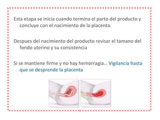 Esta etapa se inicia cuando termina el parto del producto y concluye con el nacimiento de la placenta. Despues del nacimiento del producto revisar el tamano del fondo uterino y su consistencia Si se mantiene firme y no hay hemorragia…  Vigilancia hasta que se desprende la placenta 