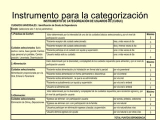 Instrumento para la categorización 