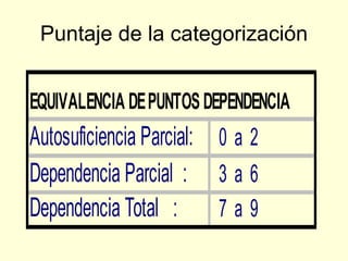 Puntaje de la categorización 