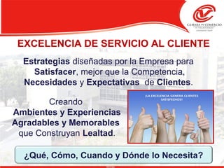 Estrategias diseñadas por la Empresa para
Satisfacer, mejor que la Competencia,
Necesidades y Expectativas de Clientes.
¿Qué, Cómo, Cuando y Dónde lo Necesita?
Creando
Ambientes y Experiencias
Agradables y Memorables
que Construyan Lealtad.
EXCELENCIA DE SERVICIO AL CLIENTE
 