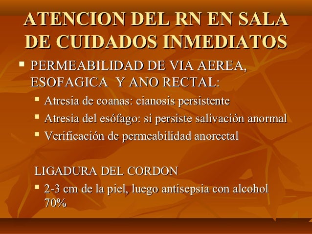 El alcoholismo la clínica de los tacos
