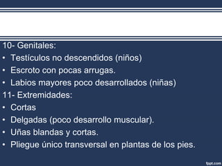 10- Genitales:
• Testículos no descendidos (niños)
• Escroto con pocas arrugas.
• Labios mayores poco desarrollados (niñas)
11- Extremidades:
• Cortas
• Delgadas (poco desarrollo muscular).
• Uñas blandas y cortas.
• Pliegue único transversal en plantas de los pies.
 