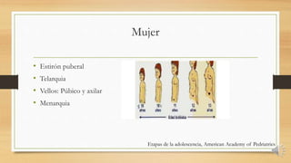 Mujer
• Estirón puberal
• Telarquia
• Vellos: Púbico y axilar
• Menarquia
Etapas de la adolescencia, American Academy of Pedriatrics
 