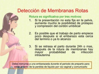 Detección de Membranas Rotas
Rotura es significativa por tres motivos:
1. Si la presentación no esta fija en la pelvis,
aumenta mucho la posibilidad de prolapso
y compresión del cordón umbilical
2. Es posible que el trabajo de parto empiece
poco después si el embarazo esta cerca
del termino o ya lo alcanzo
3. Si se retrasa el parto durante 24h o mas,
después de la rotura de membranas hay
mayor probabilidad de infección
intrauterina
Debe instruirse a una embarazada durante el periodo de preparto para
estar al tanto de la perdida de liquido por via vaginal y comunicarlo
 