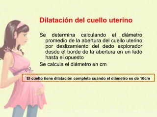 Dilatación del cuello uterino
Se determina calculando el diámetro
promedio de la abertura del cuello uterino
por deslizamiento del dedo explorador
desde el borde de la abertura en un lado
hasta el opuesto
Se calcula el diámetro en cm
El cuello tiene dilatación completa cuando el diámetro es de 10cm
 