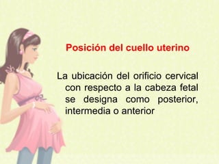 Posición del cuello uterino
La ubicación del orificio cervical
con respecto a la cabeza fetal
se designa como posterior,
intermedia o anterior
 