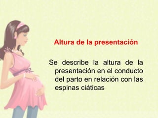 Altura de la presentación
Se describe la altura de la
presentación en el conducto
del parto en relación con las
espinas ciáticas
 