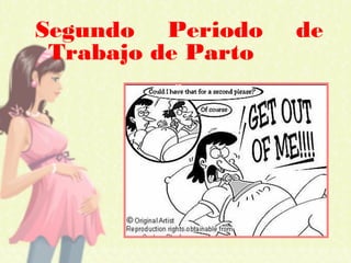 Segundo Periodo de
Trabajo de Parto
 