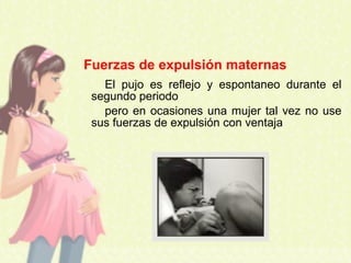 El pujo es reflejo y espontaneo durante el
segundo periodo
pero en ocasiones una mujer tal vez no use
sus fuerzas de expulsión con ventaja
Fuerzas de expulsión maternas
 