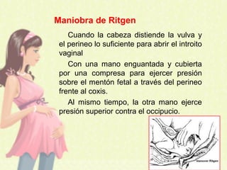 Cuando la cabeza distiende la vulva y
el perineo lo suficiente para abrir el introito
vaginal
Con una mano enguantada y cubierta
por una compresa para ejercer presión
sobre el mentón fetal a través del perineo
frente al coxis.
Al mismo tiempo, la otra mano ejerce
presión superior contra el occipucio.
Maniobra de Ritgen
 