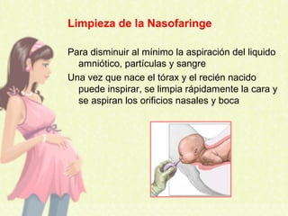 Limpieza de la Nasofaringe
Para disminuir al mínimo la aspiración del liquido
amniótico, partículas y sangre
Una vez que nace el tórax y el recién nacido
puede inspirar, se limpia rápidamente la cara y
se aspiran los orificios nasales y boca
 