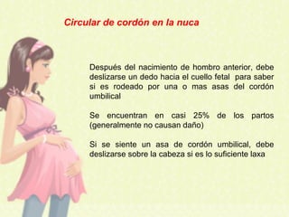 Circular de cordón en la nuca
Después del nacimiento de hombro anterior, debe
deslizarse un dedo hacia el cuello fetal para saber
si es rodeado por una o mas asas del cordón
umbilical
Se encuentran en casi 25% de los partos
(generalmente no causan daño)
Si se siente un asa de cordón umbilical, debe
deslizarse sobre la cabeza si es lo suficiente laxa
 
