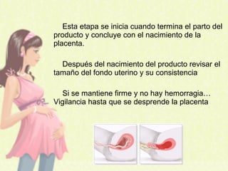 Esta etapa se inicia cuando termina el parto del
producto y concluye con el nacimiento de la
placenta.
Después del nacimiento del producto revisar el
tamaño del fondo uterino y su consistencia
Si se mantiene firme y no hay hemorragia…
Vigilancia hasta que se desprende la placenta
 