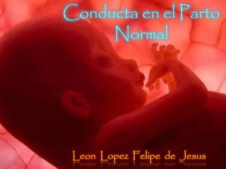 Conducta en el Parto
Normal
Leon Lopez Felipe de Jesus
 