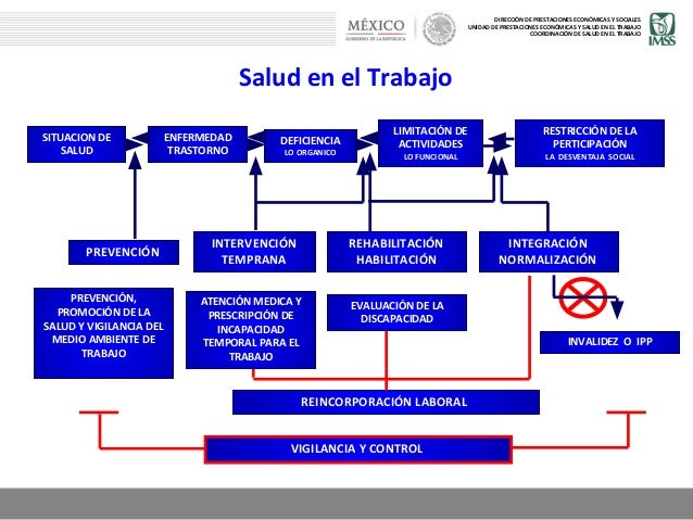 Salud En El Trabajo Imss Horarios