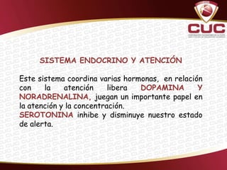 SISTEMA ENDOCRINO Y ATENCIÓN

Este sistema coordina varias hormonas, en relación
con    la    atención     libera DOPAMINA        Y
NORADRENALINA, juegan un importante papel en
la atención y la concentración.
SEROTONINA inhibe y disminuye nuestro estado
de alerta.
 