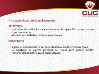  La atención se divide en 4 momentos:

SELECTIVA
• selección de estímulos relevantes para la ejecución de una acción
  cognitiva superior.
• Mediado por distintos factores emocionales.

SOSTENIDA

• implica el mantenimiento del foco atencional en determinada tarea.
• Se mantiene en ciertos periodos de tiempo pero pueden existir
  factores del ambiente que la hacer decaer.
 
