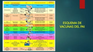 atencion integral a menor de 5 años.pptx