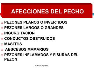 AFECCIONES DEL PECHO 
 PEZONES PLANOS O INVERTIDOS 
 PEZONES LARGOS O GRANDES 
 INGURGITACION 
 CONDUCTOS OBSTRUIDOS 
Dr. Raúl Urquizo A 
 MASTITIS 
 ABSCESOS MAMARIOS 
 PEZONES INFLAMADOS Y FISURAS DEL 
PEZON 
 