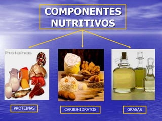 COMPONENTES 
NUTRITIVOS 
PROTEINAS CARBOHIDRATOS GRASAS 
 