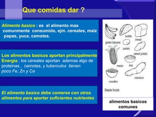 alimentos basicos 
comunes 
Que comidas dar ? 
Alimento basico : es el alimento mas 
comunmente consumido, ejm. cereales, maiz 
papas, yuca, camotes. 
Los alimentos basicos aportan principalmente 
Energia ; los cereales aportan ademas algo de 
proteinas , camotes, y tuberculos tienen 
poco Fe, Zn y Ca 
El alimento basico debe comerse con otros 
alimentos para aportar suficientes nutrientes 
 