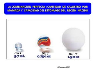LA COMBINACIÓN PERFECTA : CANTIDAD DE CALOSTRO POR 
MAMADA Y CAPACIDAD DEL ESTOMÁGO DEL RECIÉN NACIDO 
Día 1 Día 3 Día 10 
Silverman, 1961 
 