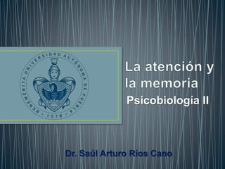 Psicobiología II
Dr. Saúl Arturo Ríos Cano
 