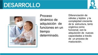 Proceso
dinámico de
adquisición de
funciones en un
tiempo
determinado.
DESARROLLO
Diferenciación de
células y tejidos y la
complejidad creciente
de la estructura, tanto
orgánica como
funcional, con la
adquisición de nuevas
capacidades a través
de un proceso de
maduración.
 