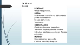 De 13 a 18
meses
LENGUAJE
Utiliza más palabras.
SOCIAL
Se alimenta con cuchara derramando
parte del contenido.
Se viste con ayuda.
Juega solo.
COORDINACION
Construye torres de tres cubos.
Introduce objetos grandes en otros.
Introduce objetos pequeños en frascos
o botellas.
MOTORA
Sube escaleras, gateando.
Camina biensólo, sin ayuda.
 